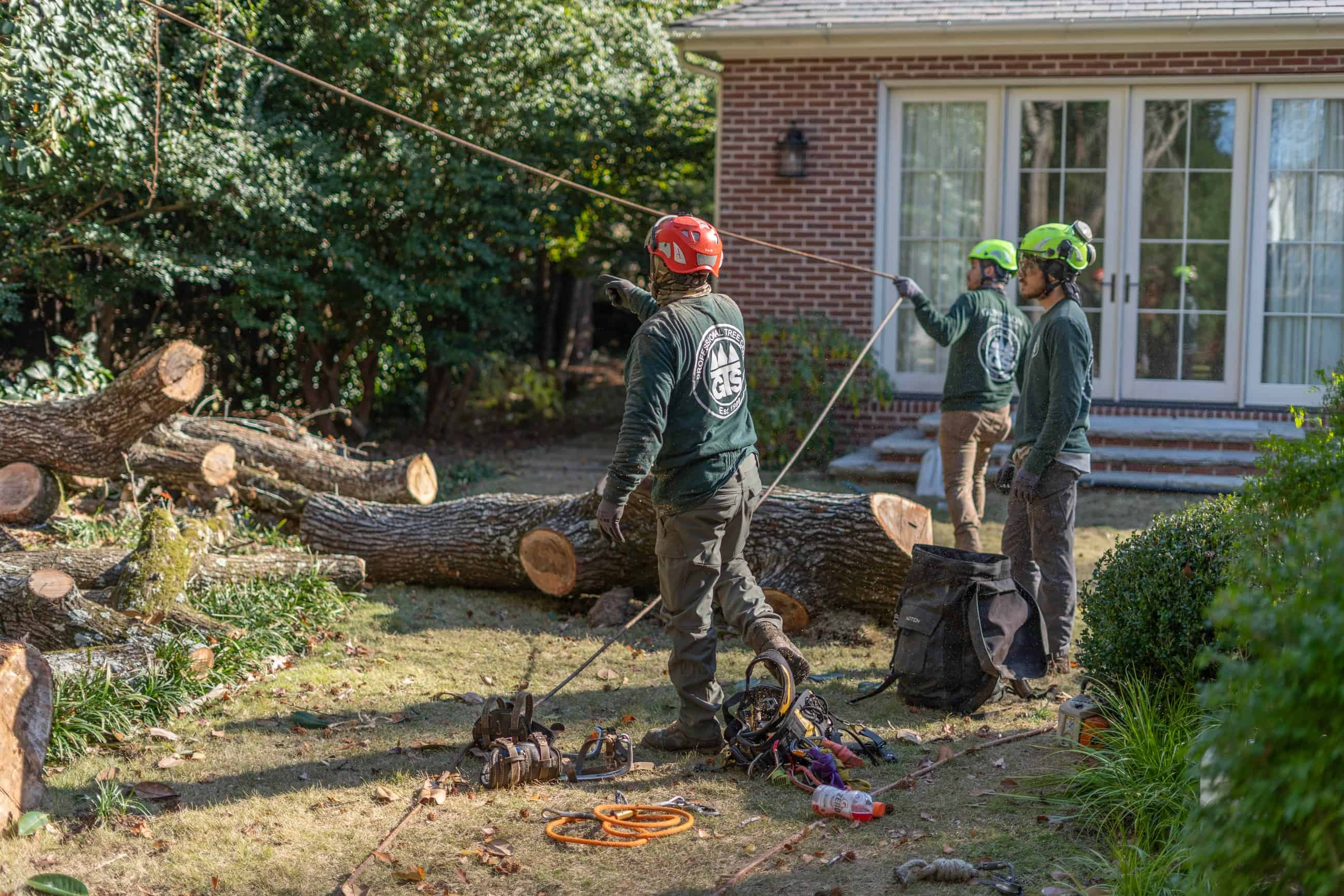 Gunnison Tree Services